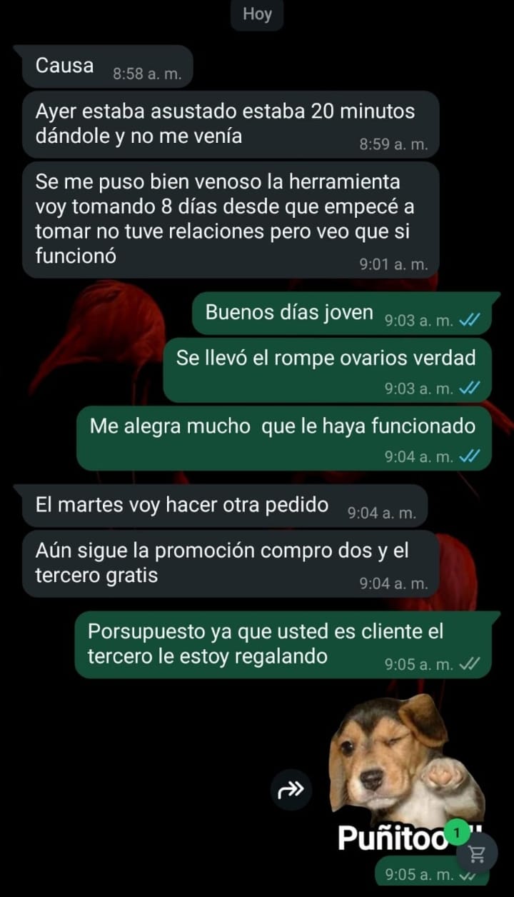 Testimonio extra